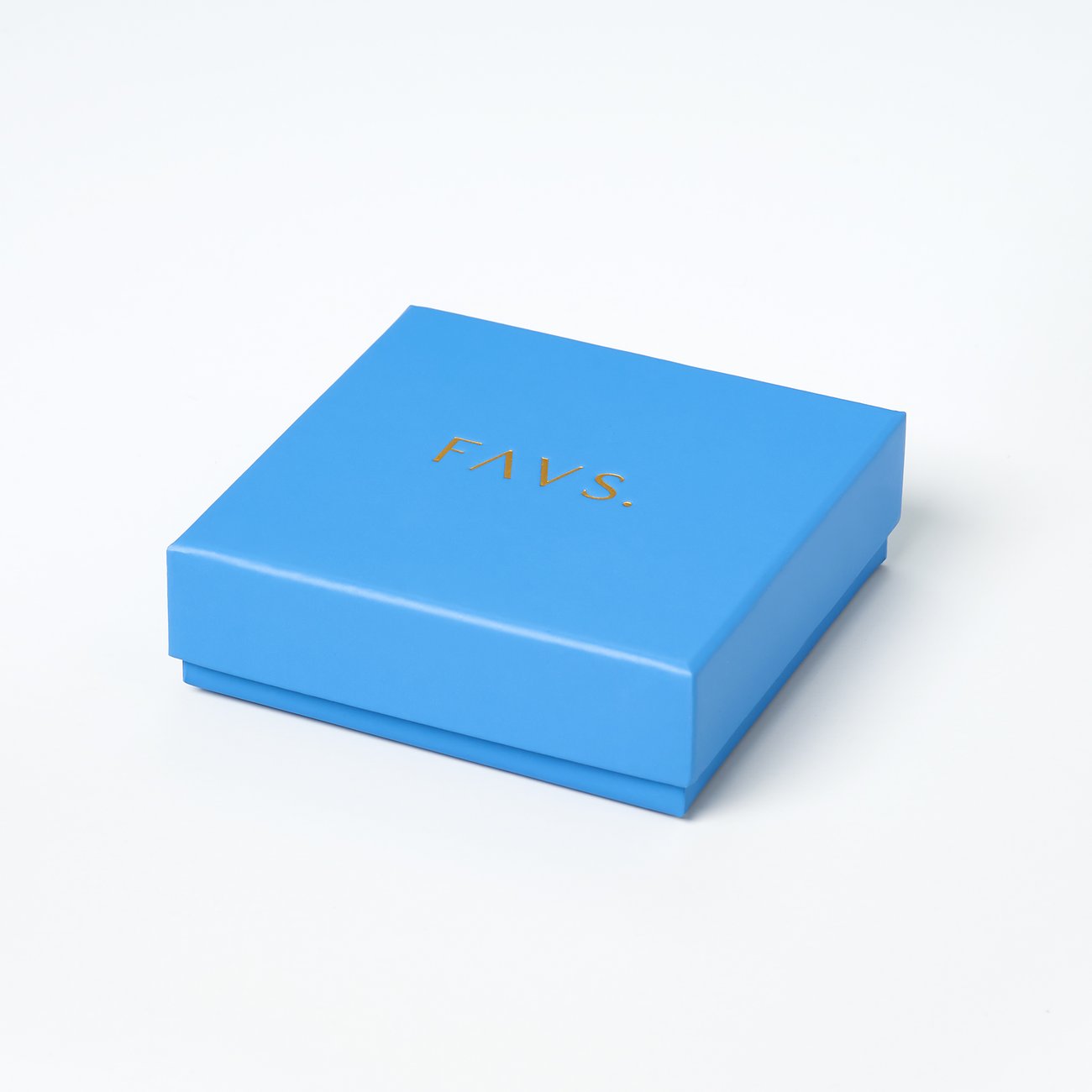 FAVS Kette 88465067 Auslauf