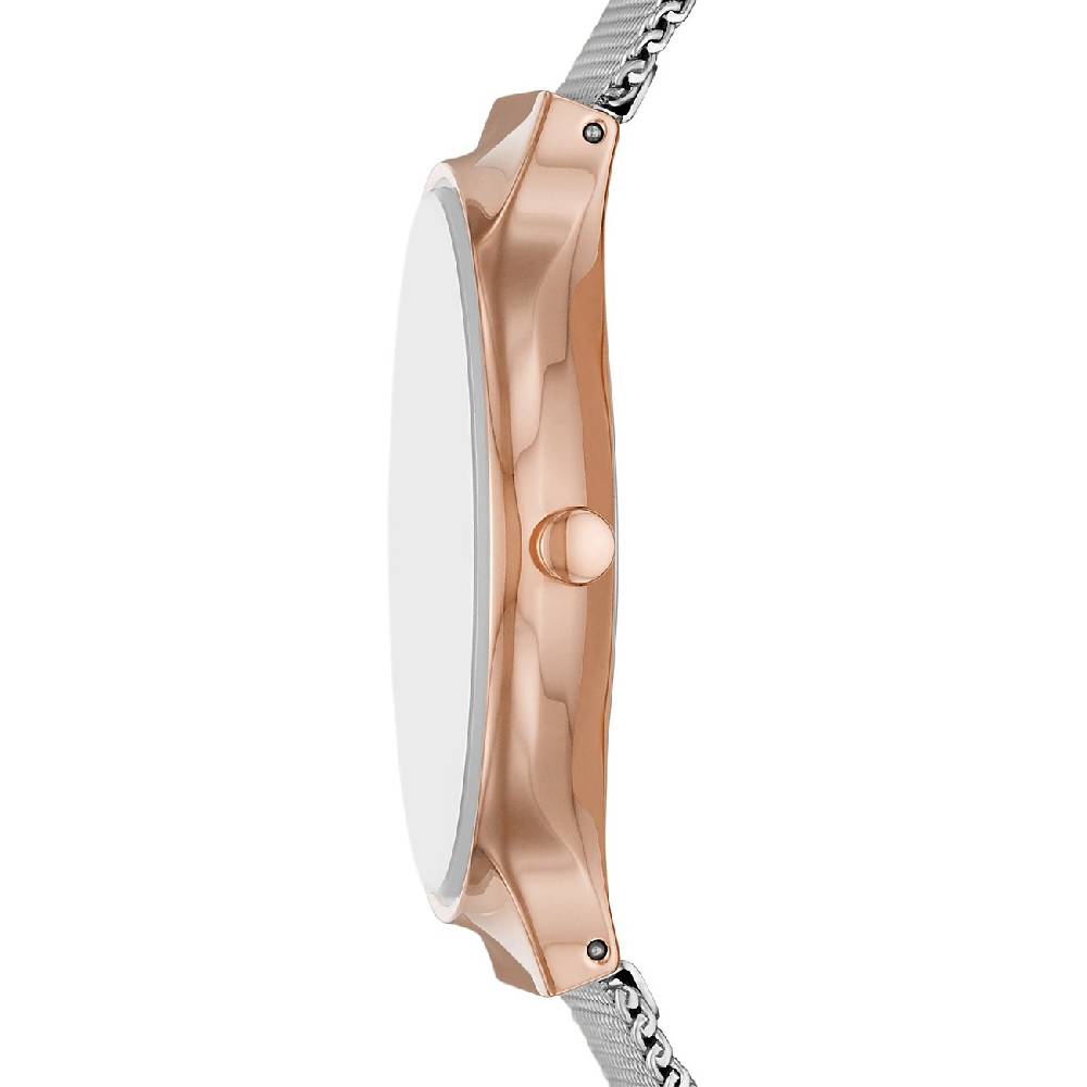 2. Chance - Skagen Damenuhr SKW3017 Letzte 3 Tage