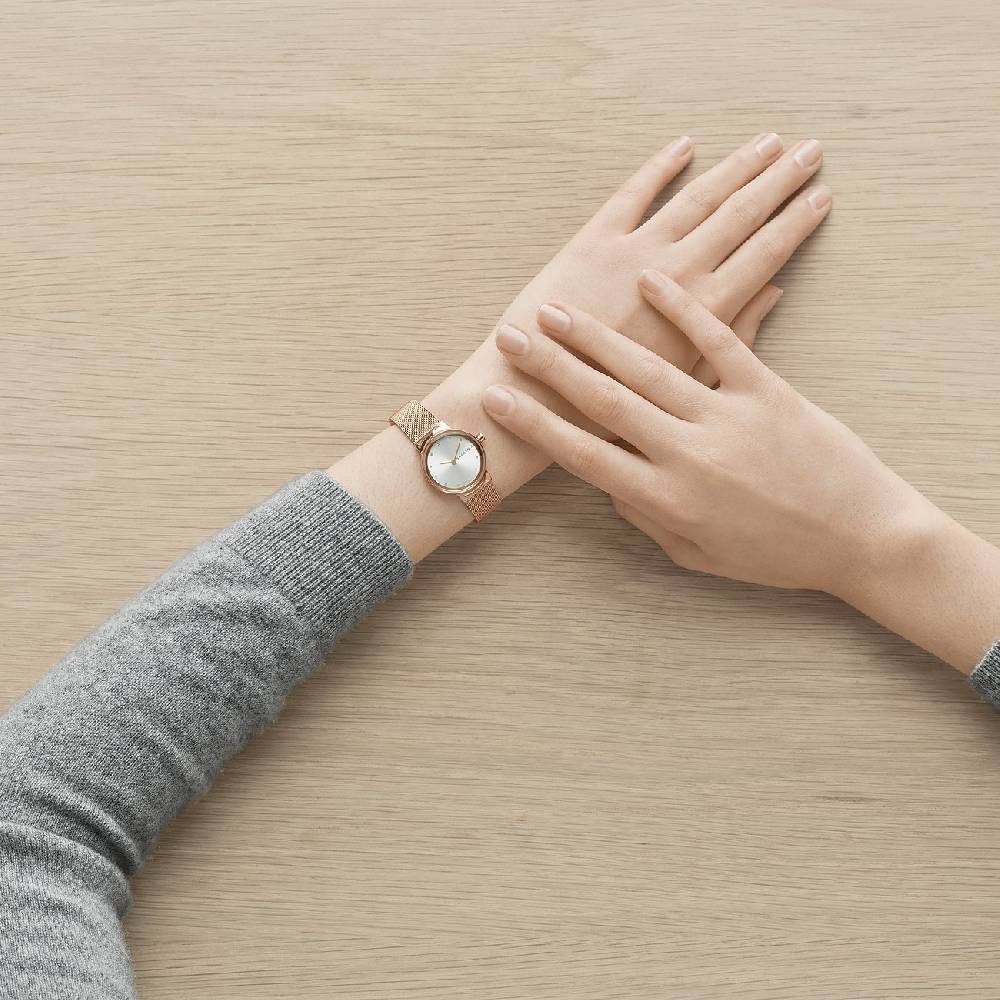 2. Chance - Skagen Damenuhr Outlet