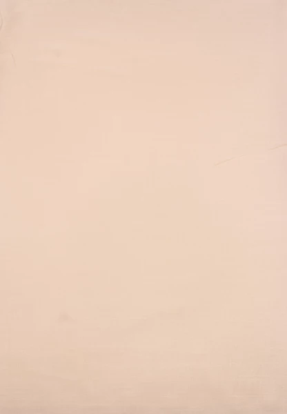 -50% SALE Leslii Damen-Schal Basic Uni-Schal beiger Fransen-Schal einfarbig in Beige Riesige Rabatte