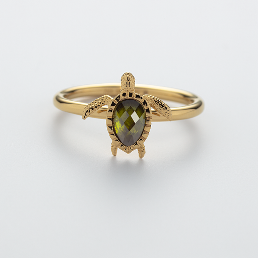 ﻿Paul Hewitt Turtle Ring Gold Kostenlose Rückgabe