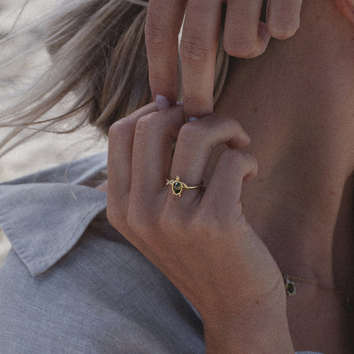 ﻿Paul Hewitt Turtle Ring Gold Kostenlose Rückgabe