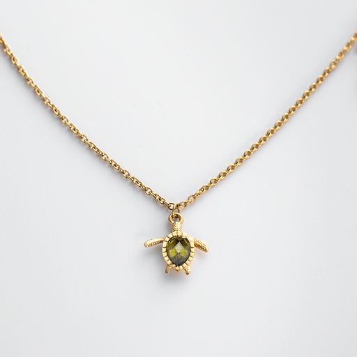 Paul Hewitt Turtle Mono Halskette Gold Begrenzte Freigabe
