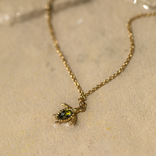 Paul Hewitt Turtle Mono Halskette Gold Begrenzte Freigabe