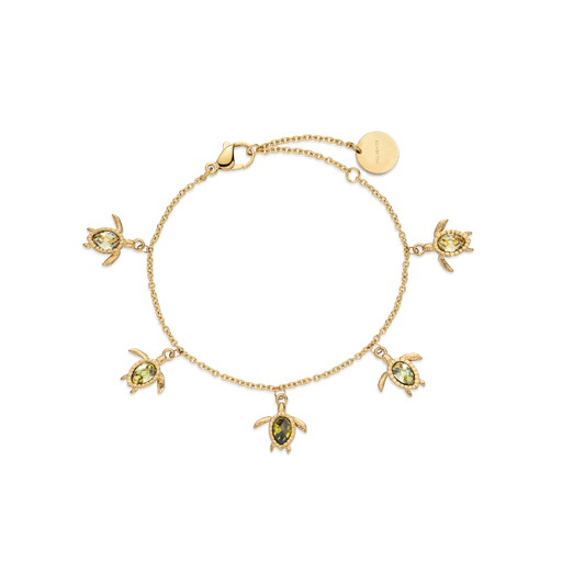 Paul Hewitt Turtle World Turtle Day Armkette Gold Sonderangebot der Fabrik