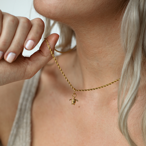 Paul Hewitt Turtle Charm Gold Sonderangebot