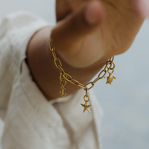 Paul Hewitt Turtle Charm Gold Sonderangebot