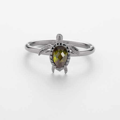 Paul Hewitt Turtle Ring Silber Online Shopping