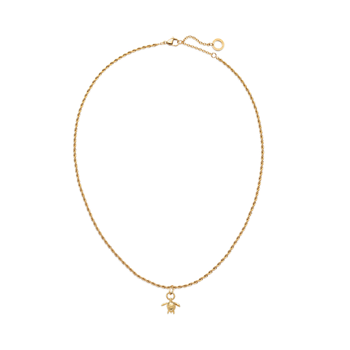 Paul Hewitt Set Turtle Charm und Halskette Gold Sonderangebote