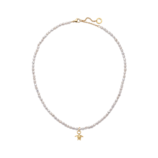 Paul Hewitt Set Turtle Charm und Halskette Gold Sonderangebote