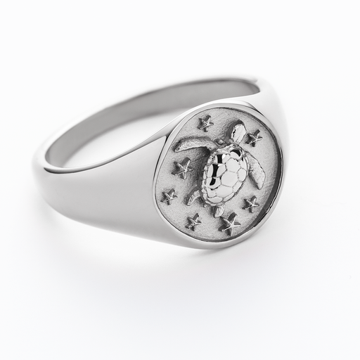 Paul Hewitt Turtle Signet Ring Silber Vatertagsangebot
