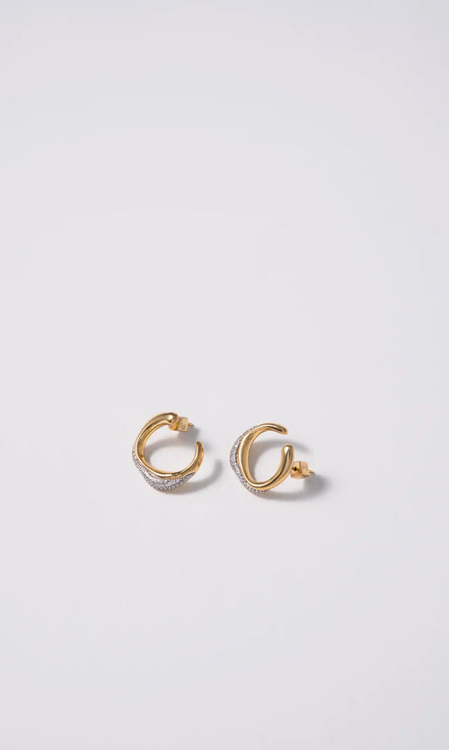 Paul Valentine Crystal Galaxy Ear Studs Verkauf