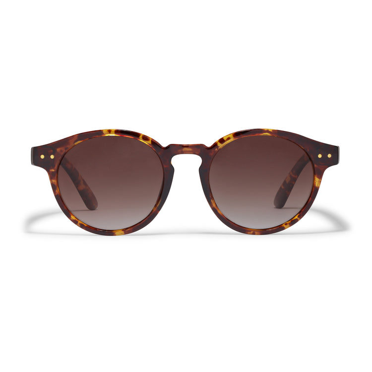 Pilgrim KYRIE Sonnenbrille Schildpatt-Braun/Gold Riesige Ersparnisse