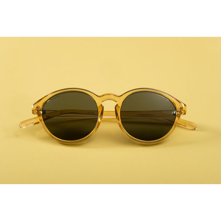 Pilgrim VASILIA Sonnenbrille transparent braun Jubiläumsangebot