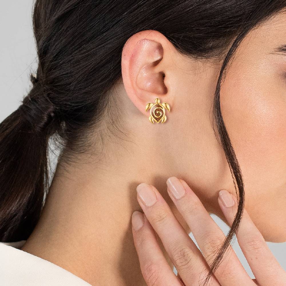 Rafaela Donata Ohrstecker Sterling Silber gelbgold Emaille braun Sonderangebote
